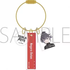 Tesla Note Acrylic Keychain -Toys Collectibles Sales 36bf409d985040488cccd0e24e12cf31.jpg